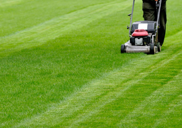 Lawn Care and lawn maintenance